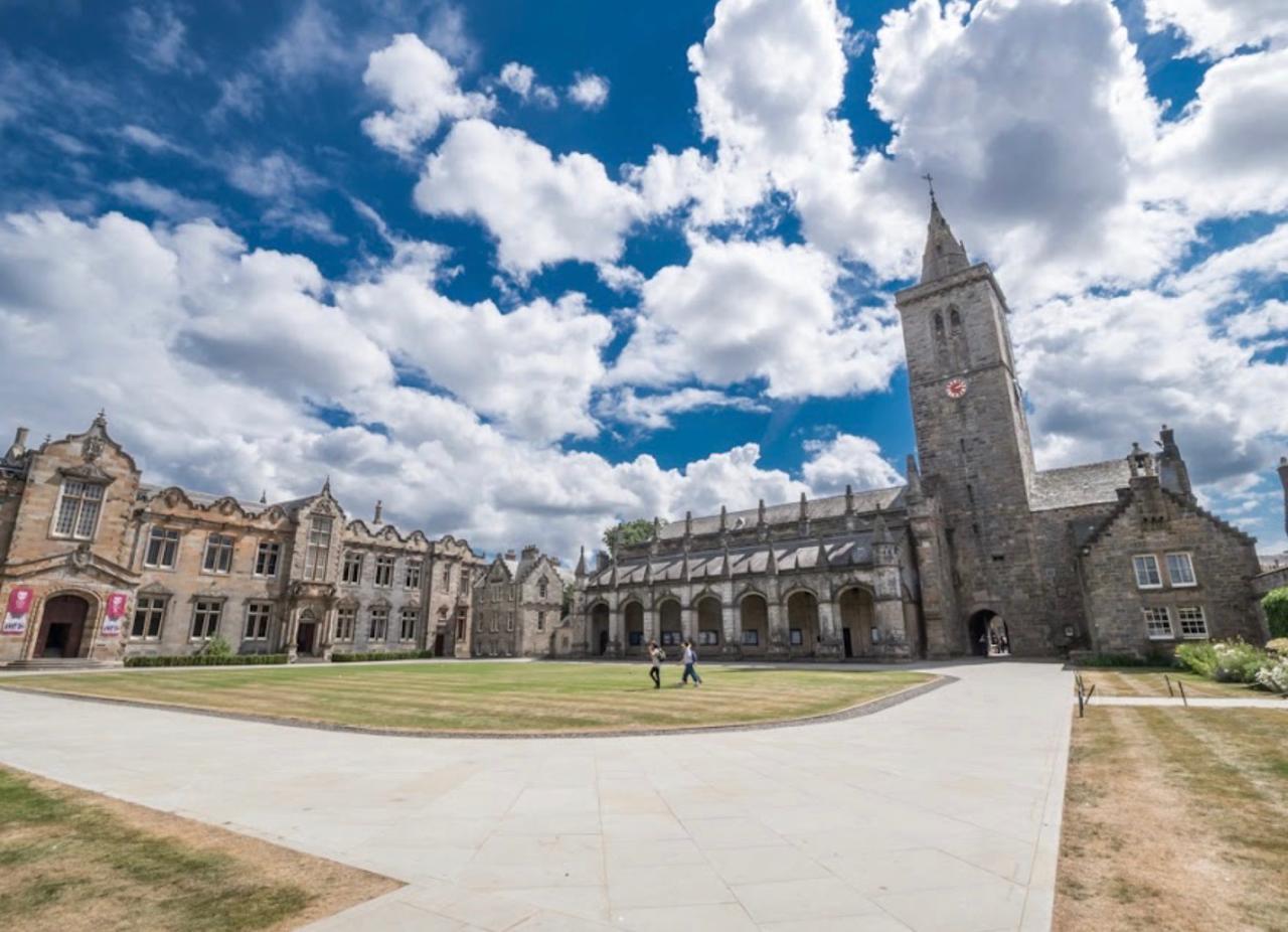 WhatsApp Image 2026-04-08 at 7.17.45 PM (1)